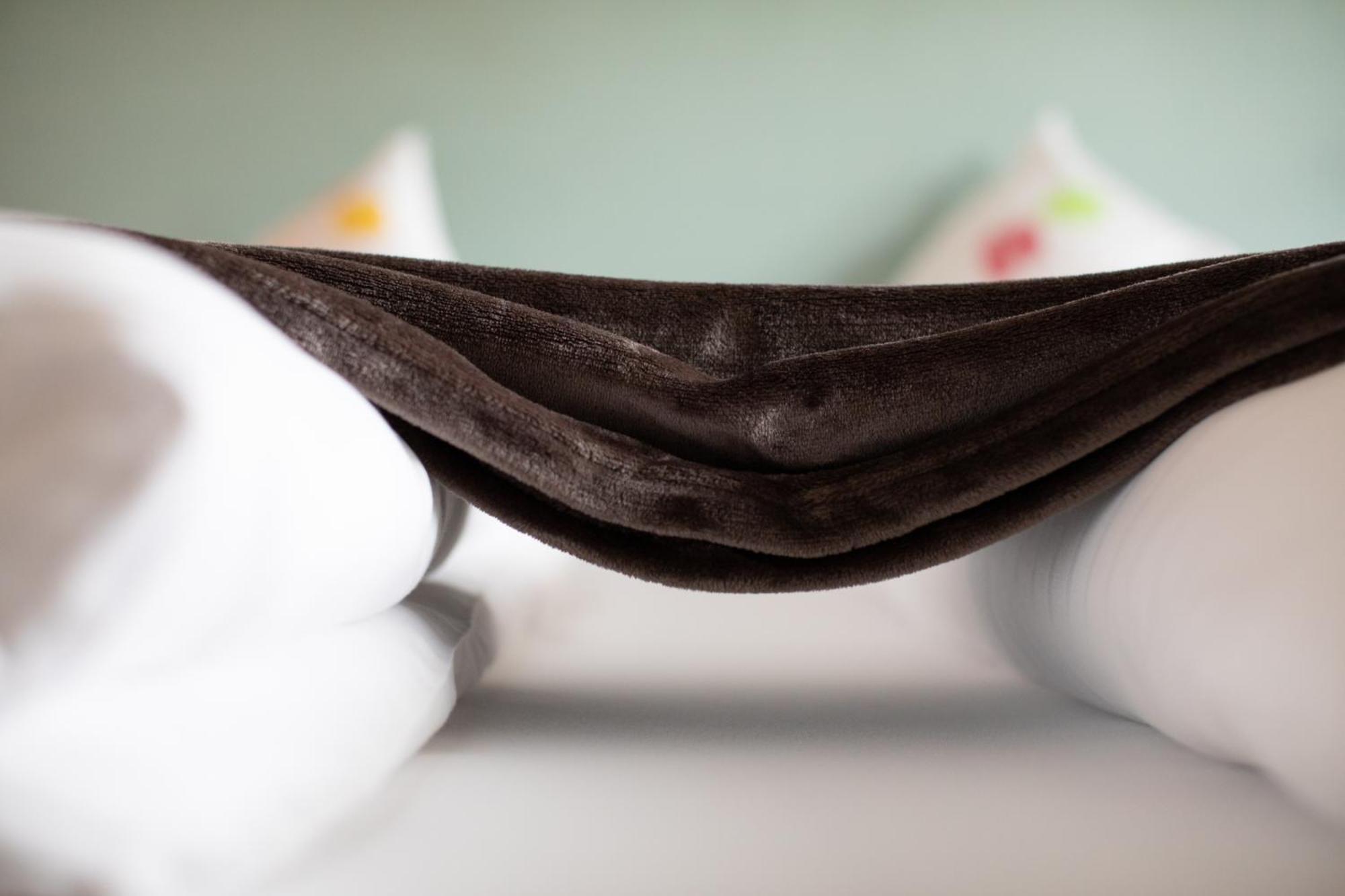 Studio Garden View